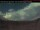 Webcam in Clearwater, 241.8 km