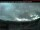 Webcam in Clearwater, 74.8 mi away