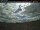 Webcam in Clinton, 70.8 mi away