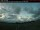 Webcam in Clinton, 130.4 km entfernt