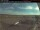 Webcam in Dawson Creek, 119 mi away