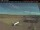 Webcam in Dawson Creek, 74.2 mi away
