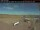 Webcam in Dawson Creek, 308.3 km entfernt