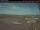 Webcam in Dawson Creek, 261 km entfernt