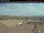 Webcam in Dawson Creek, 308.3 km