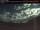 Webcam at the Dease Lake, 102.5 mi away