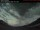 Webcam in Golden, 35.3 mi away
