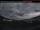 Webcam in Invermere, 254.4 km