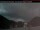 Webcam in Manning Park, 177.8 km