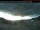 Webcam in Merritt, 103.2 km
