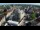 Webcam in Gouda, 3.9 mi away