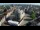 Webcam in Gouda, 6.3 mi away