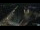 Webcam in Gouda, 15.3 mi away