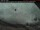 Webcam in Revelstoke, 54.2 mi away