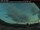 Webcam in Revelstoke, 263.5 km