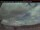 Webcam in Ganges (Salt Spring Island), 18.3 mi away