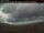 Webcam in Sandspit, 229 mi away