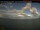 Webcam in Saturna, 15.8 mi away