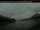 Webcam in Prince Rupert, 206.8 km