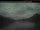 Webcam in Prince Rupert, 151.1 km