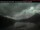 Webcam in Prince Rupert, 156.6 km entfernt