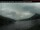 Webcam in Prince Rupert, 156.6 km entfernt