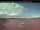 Webcam in Nanaimo, 34.1 mi away