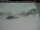 Webcam in Pangnirtung, 191.4 mi away