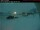 Webcam in Pangnirtung, 191.4 mi away