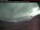 Webcam in Pangnirtung, 191.4 mi away