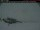 Webcam in Clyde River, 496.1 km entfernt