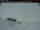 Webcam in Clyde River, 191.4 mi away
