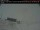 Webcam in Clyde River, 1071.4 km