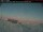 Webcam in Clyde River, 0 km entfernt