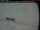 Webcam in Clyde River, 496.1 km