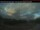 Webcam in Haines Junction, 256.8 mi away