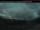 Webcam in Haines Junction, 0 km