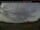 Webcam in Mont-Laurier, 63.5 km