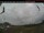 Webcam in Mont-Laurier, 392.3 km