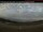 Webcam in La Macaza, 72.7 mi away
