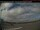 Webcam in Chevery, 269.5 km