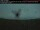 Webcam in Sarnia, 45.7 mi away