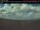 Webcam in Sarnia, 145.5 km