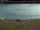 Webcam in Sarnia, 95.5 km