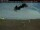 Webcam in Sarnia, 0 mi away