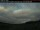 Webcam in Sandy Lake, 121.1 mi away