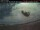 Webcam in Havre Saint-Pierre, 201.3 km