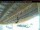 Webcam in Arnprior, 61.6 km
