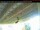 Webcam in Arnprior, 51.9 km