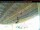 Webcam in Arnprior, 40.9 mi away